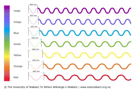 CCwaves