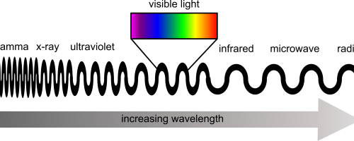 A schematic showing the position of visible waelengths within the electromagnetic spectrum