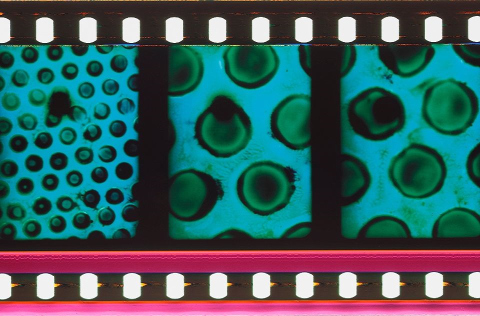 filmstrip featuring abstract coloured blobs